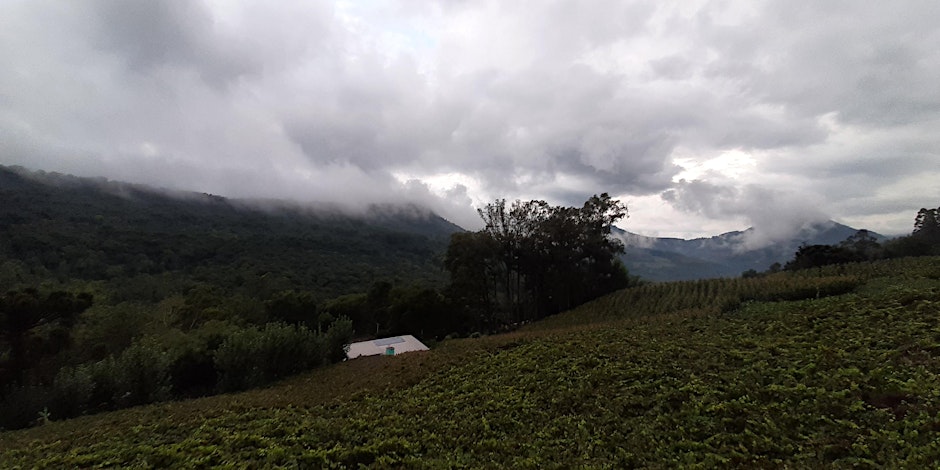Photo of fields and clouds